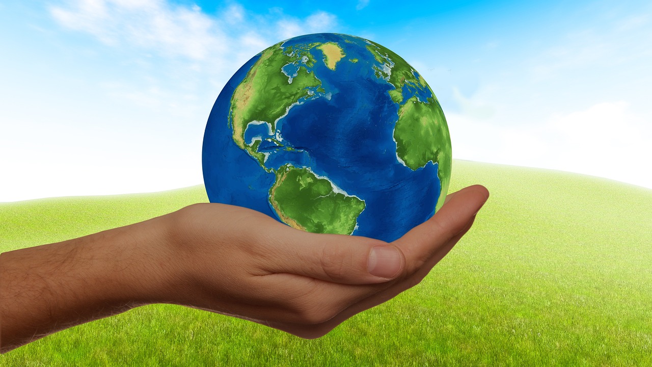 How to Incorporate Sustainable Gardening into City Life?